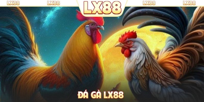 Đá gà LX88