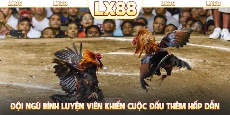 Đội ngũ bình luyện viên khiến cuộc đấu thêm hấp dẫn